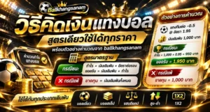 วิธีคิดเงินแทงบอล ชนะเต็ม แพ้ คืนทุน และบอลสเต็ป แยกตามราคาฮ่องกง มาเลย์ ยุโรป รู้ยอดได้เสียก่อนยืนยัน พร้อมวิธีเช็กว่าตรงกับยอดในบิล